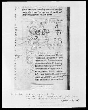 Bibel — Initiale P (ater noster), Folio 18 verso