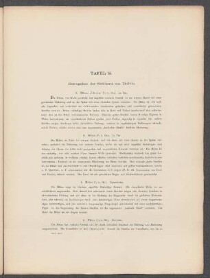 Tafel 15. Erzeugnisse der Strickerei aus Bolivia.