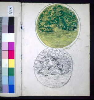 Dekorationsentwurf Waldlandschaft