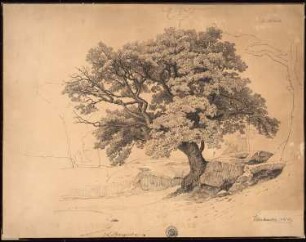Landschaft bei Kloster Michaelstein: Perspektivische Ansicht