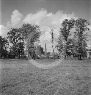 Wiese mit Baumgruppe und Kirchturm in Polen