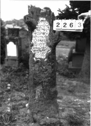 Grabstein 2263 (Index: 100097362) Maße HxBxT: 147x31x31 cm Symbolik: Baumstamm: Grabstein 2263
