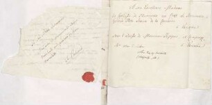 Adresse der Gräfin Ilumiecka in Warschau; Anrede von Karoline Luises Hand.
