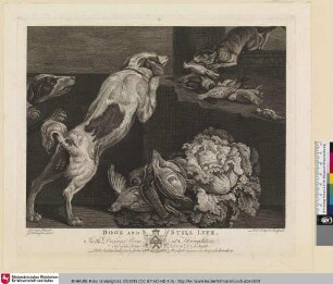 Dogs and still life [Hunde und Stillleben]