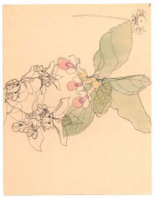 Studie Frühlingsblumen : Blüten und Blattgrün einer Pflanze (Nessel?); eine Löwenzahnblüte