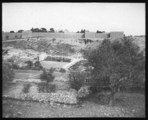 Jerusalem v. W. Reym.