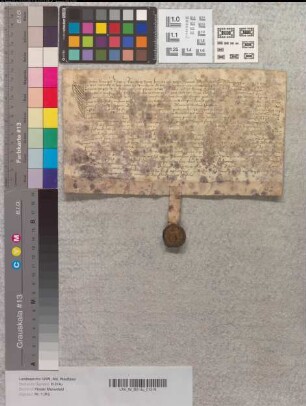 Der Richter Walter Varensell zu Wiedenbrück bezeugt den Landverkauf des Johann Staties an das Kloster Marienfeld.