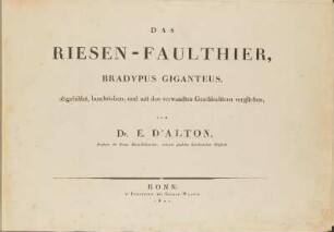 1,1.1821: Das Riesen-Faulthier, Bradypus giganteus