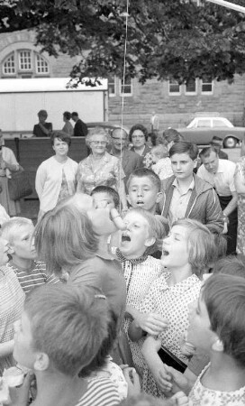Lindenblütenfest des Bürgervereins der Weststadt.