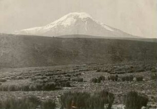 Chimborazo von Norden, von Cunucyacu aus