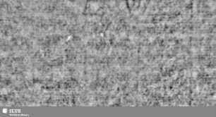 Lilienschild + IESV / LW = S.7/8