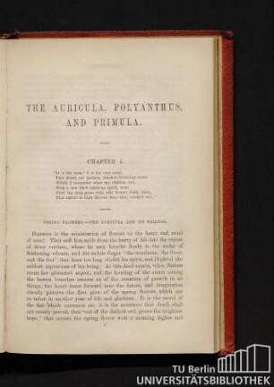 Chapter I. Spring flowers. - The Auricula and its friends.