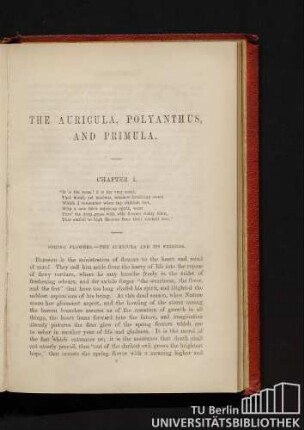 Chapter I. Spring flowers. - The Auricula and its friends.
