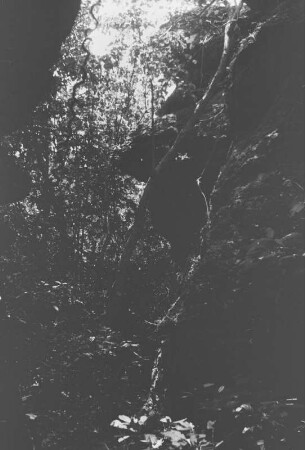Blick aus einer Felskluft : Dschungellandschaft mit Felsen