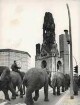 Die Elefanten des Zirkus Althoff vor der Kaiser-Wilhelm-Gedächtniskirche