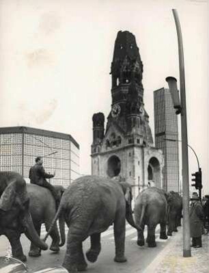 Die Elefanten des Zirkus Althoff vor der Kaiser-Wilhelm-Gedächtniskirche