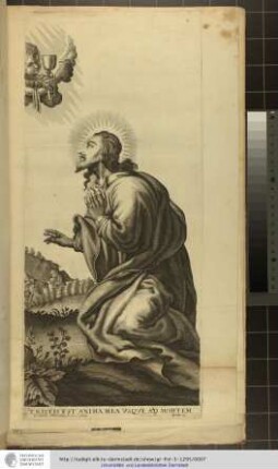 Tristis est anima mea vsqve ad mortem