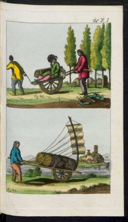 Taf. XI. Fig. 39. - Fig. 43.
