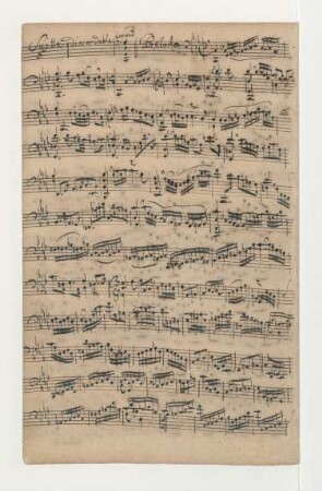 Suiten; vlc; c-Moll; BWV 1011