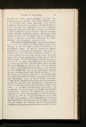 Verzweigung des Primatenstammes.