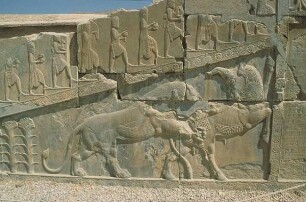 Persepolis. Palast des Darius. Treppenaufgang. Relief. Kampf zwischen Löwe und Stier