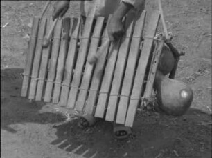 Senufo (Westafrika, Elfenbeinküste) - Xylophon-Orchester