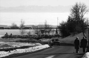Höchenschwand: Ort und Straße mit Alpenpanorama