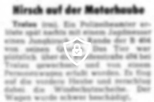 Hirsch auf der Motorhaube