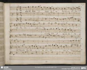 9 Agostino Steffani - Che volete o crude pene