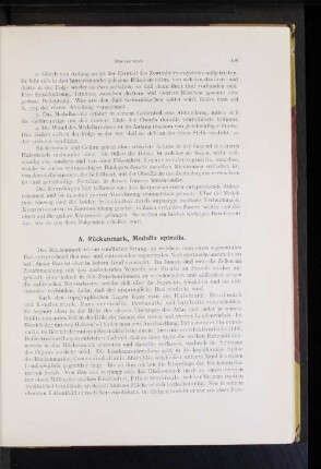 A. Rückenmark, Medulla spinalis.