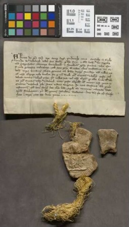 Friedberg: König Albrechts Privileg adversus duella et extranea judicia