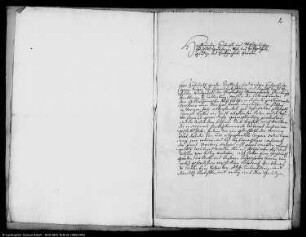 Zwischen Lindau und Gillersheim strittige Weide