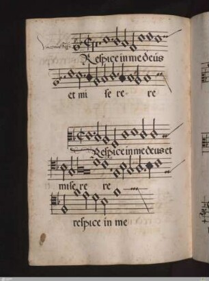 Vincentinus Rufus : Respice in me deus