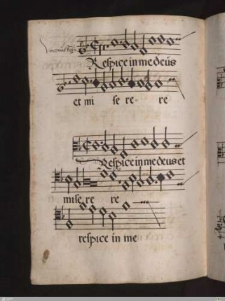 Vincentinus Rufus : Respice in me deus