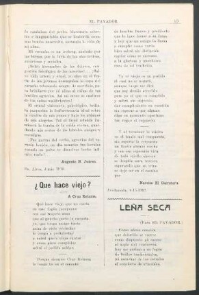 Leña seca