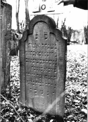 Grabstein 903 (Index: 99753236) Material: Sandstein Zustand: gut Maße HxBxT: 113x53x8 cm Beschreibung: Stele, geschwungen eingezogener Rundbogenabschluß, Schriftfeld eingetieft: Grabstein 903