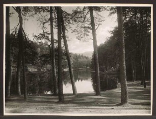 Donoperteich. Detmold. Hiddesen. Papierabzug