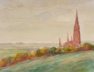 Der Schleswiger Dom