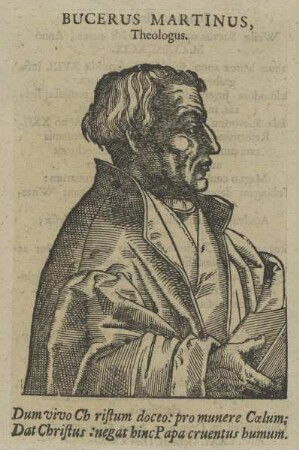 Bildnis des Bucerus Martinus