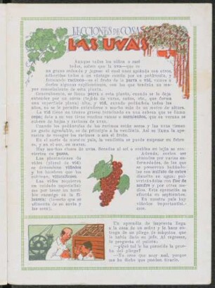 Lecciones de cosas - Las uvas