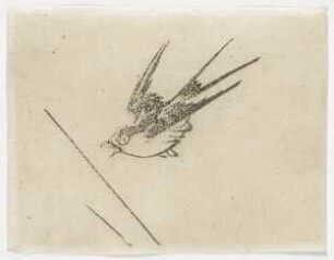 Kleiner Vogel im Flug