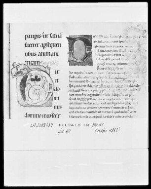 Commentarius in Psalmos / Glossenbibel — Initiale D (ixit dominus) mit einem Löwen, Folio 64 recto
