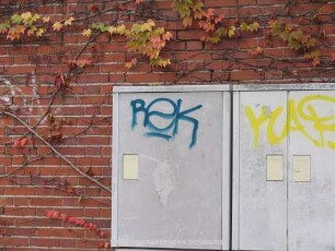 ReK