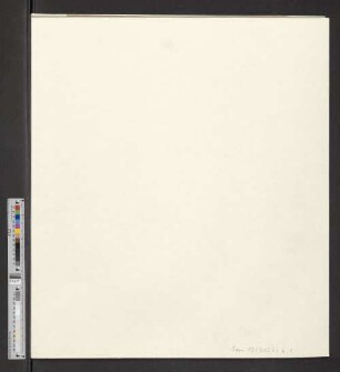 5: Die betenden Bäume