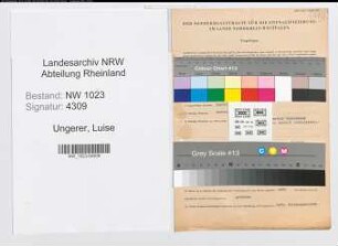 Entnazifizierung Luise Ungerer , geb. 21.05.1895 (Krankenpflegerin)