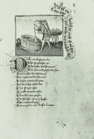 Wein kelternder Mann, Monatsbild September