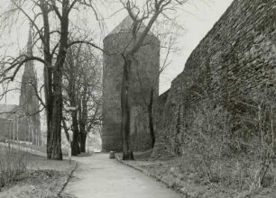 Donatsturm (Sächsstadt)