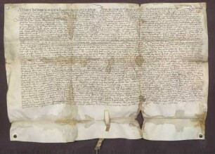 Hans Sped, Bürger zu Weinheim, reversiert gegenüber der kurpfälzischen Kirchengüter- und Gefällverwaltung wegen eines Weinbergs in Weinheimer Gemarkung.