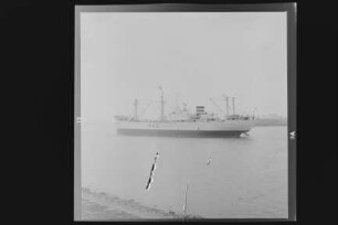 Steinweg ex Ellen Hugo Stinnes ex Pacific (1914), HMG, Hamburg