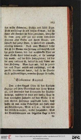 Siebentes Kapitel